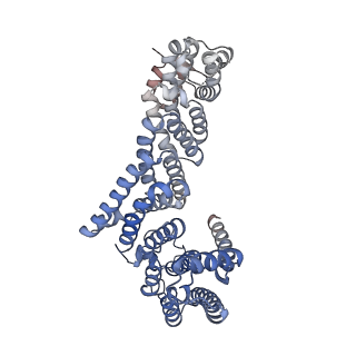 29259_8fkw_NA_v1-2
Human nucleolar pre-60S ribosomal subunit (State D2)