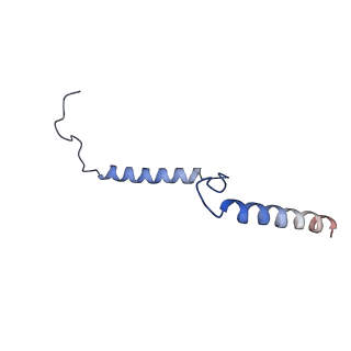 29259_8fkw_NB_v1-2
Human nucleolar pre-60S ribosomal subunit (State D2)
