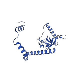 29259_8fkw_NF_v1-2
Human nucleolar pre-60S ribosomal subunit (State D2)