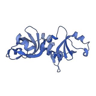 29259_8fkw_NH_v1-2
Human nucleolar pre-60S ribosomal subunit (State D2)