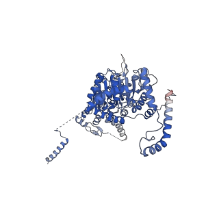 29259_8fkw_NI_v1-2
Human nucleolar pre-60S ribosomal subunit (State D2)