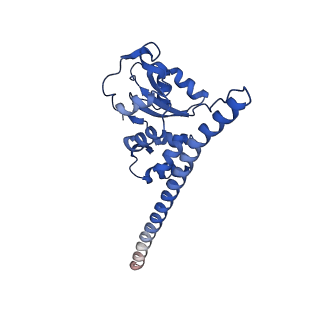 29259_8fkw_SD_v1-2
Human nucleolar pre-60S ribosomal subunit (State D2)