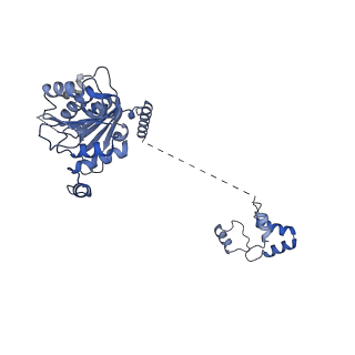 29259_8fkw_SJ_v1-2
Human nucleolar pre-60S ribosomal subunit (State D2)