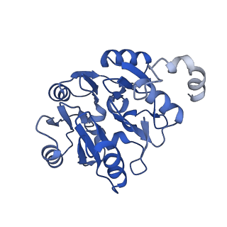 29259_8fkw_SK_v1-2
Human nucleolar pre-60S ribosomal subunit (State D2)