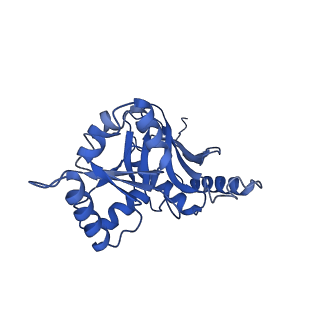 29259_8fkw_SL_v1-2
Human nucleolar pre-60S ribosomal subunit (State D2)