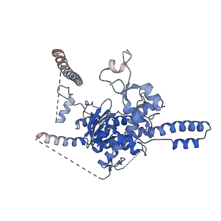 29259_8fkw_SM_v1-2
Human nucleolar pre-60S ribosomal subunit (State D2)