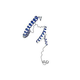 29259_8fkw_SN_v1-2
Human nucleolar pre-60S ribosomal subunit (State D2)