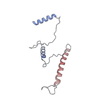 29259_8fkw_ST_v1-2
Human nucleolar pre-60S ribosomal subunit (State D2)