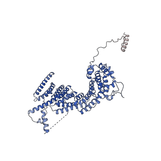 29259_8fkw_SU_v1-2
Human nucleolar pre-60S ribosomal subunit (State D2)