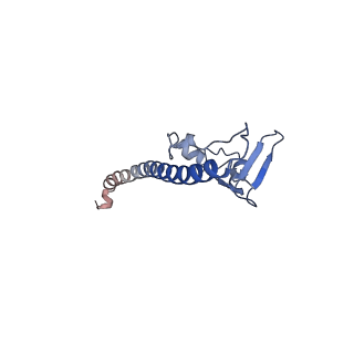 29259_8fkw_SV_v1-2
Human nucleolar pre-60S ribosomal subunit (State D2)