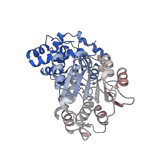 29259_8fkw_SW_v1-2
Human nucleolar pre-60S ribosomal subunit (State D2)