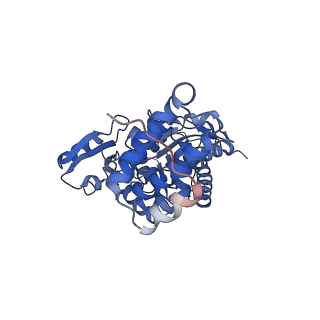 29259_8fkw_SY_v1-2
Human nucleolar pre-60S ribosomal subunit (State D2)