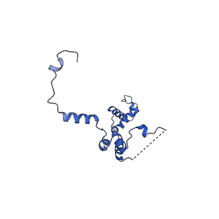 29259_8fkw_SZ_v1-2
Human nucleolar pre-60S ribosomal subunit (State D2)