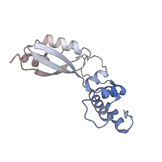 29260_8fkx_BA_v1-1
Human nucleolar pre-60S ribosomal subunit (State E)