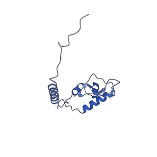 29260_8fkx_L6_v1-1
Human nucleolar pre-60S ribosomal subunit (State E)