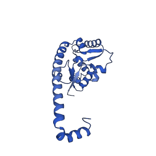 29260_8fkx_L7_v1-1
Human nucleolar pre-60S ribosomal subunit (State E)