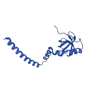 29260_8fkx_L8_v1-1
Human nucleolar pre-60S ribosomal subunit (State E)