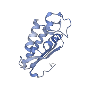 29260_8fkx_LA_v1-1
Human nucleolar pre-60S ribosomal subunit (State E)