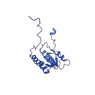 29260_8fkx_LB_v1-1
Human nucleolar pre-60S ribosomal subunit (State E)
