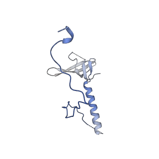 29260_8fkx_LE_v1-1
Human nucleolar pre-60S ribosomal subunit (State E)