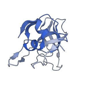 29260_8fkx_LG_v1-1
Human nucleolar pre-60S ribosomal subunit (State E)