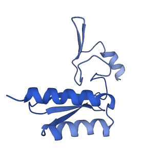 29260_8fkx_LL_v1-1
Human nucleolar pre-60S ribosomal subunit (State E)