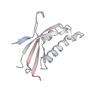 29260_8fkx_LP_v1-1
Human nucleolar pre-60S ribosomal subunit (State E)