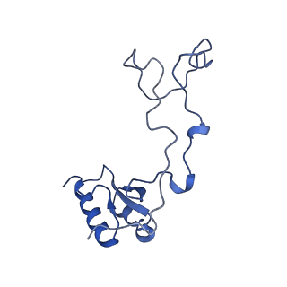 29260_8fkx_LQ_v1-1
Human nucleolar pre-60S ribosomal subunit (State E)