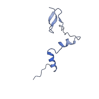 29260_8fkx_LW_v1-1
Human nucleolar pre-60S ribosomal subunit (State E)