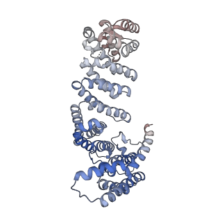 29260_8fkx_NA_v1-1
Human nucleolar pre-60S ribosomal subunit (State E)