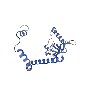 29260_8fkx_NF_v1-1
Human nucleolar pre-60S ribosomal subunit (State E)