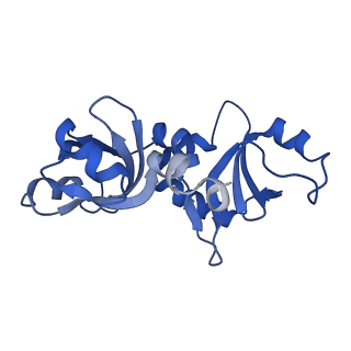 29260_8fkx_NH_v1-1
Human nucleolar pre-60S ribosomal subunit (State E)