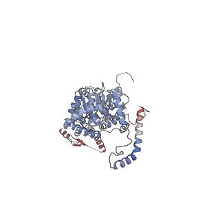 29260_8fkx_NI_v1-1
Human nucleolar pre-60S ribosomal subunit (State E)