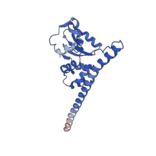29260_8fkx_SD_v1-1
Human nucleolar pre-60S ribosomal subunit (State E)