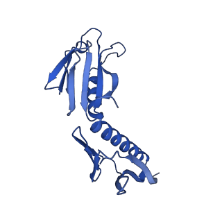 29260_8fkx_SG_v1-1
Human nucleolar pre-60S ribosomal subunit (State E)