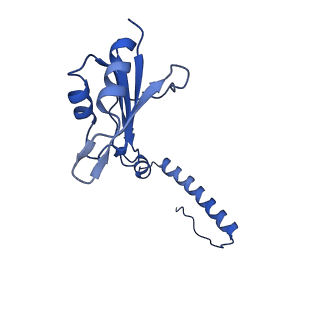 29260_8fkx_SH_v1-1
Human nucleolar pre-60S ribosomal subunit (State E)