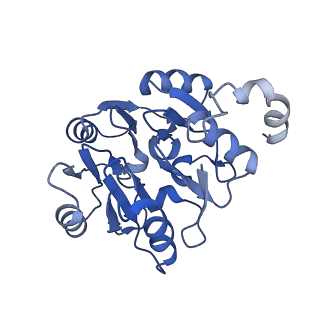 29260_8fkx_SK_v1-1
Human nucleolar pre-60S ribosomal subunit (State E)