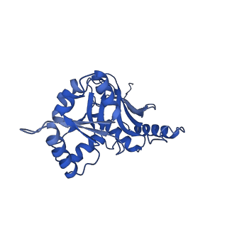 29260_8fkx_SL_v1-1
Human nucleolar pre-60S ribosomal subunit (State E)