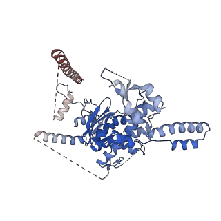 29260_8fkx_SM_v1-1
Human nucleolar pre-60S ribosomal subunit (State E)