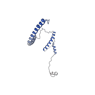 29260_8fkx_SN_v1-1
Human nucleolar pre-60S ribosomal subunit (State E)