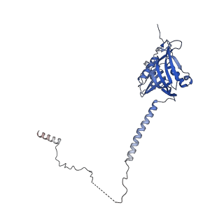 29260_8fkx_SO_v1-1
Human nucleolar pre-60S ribosomal subunit (State E)