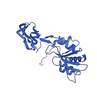 29260_8fkx_SQ_v1-1
Human nucleolar pre-60S ribosomal subunit (State E)