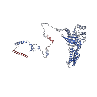 29260_8fkx_SR_v1-1
Human nucleolar pre-60S ribosomal subunit (State E)