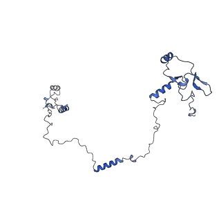 29260_8fkx_SS_v1-1
Human nucleolar pre-60S ribosomal subunit (State E)