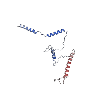 29260_8fkx_ST_v1-1
Human nucleolar pre-60S ribosomal subunit (State E)
