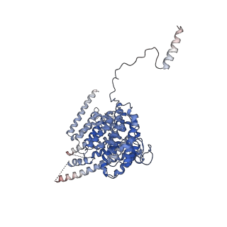 29260_8fkx_SU_v1-1
Human nucleolar pre-60S ribosomal subunit (State E)