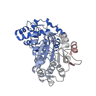 29260_8fkx_SW_v1-1
Human nucleolar pre-60S ribosomal subunit (State E)