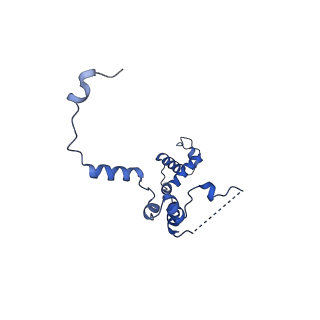 29260_8fkx_SZ_v1-1
Human nucleolar pre-60S ribosomal subunit (State E)