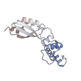29261_8fky_BA_v1-1
Human nucleolar pre-60S ribosomal subunit (State F)