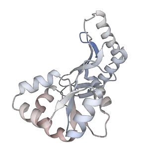 29261_8fky_BB_v1-1
Human nucleolar pre-60S ribosomal subunit (State F)